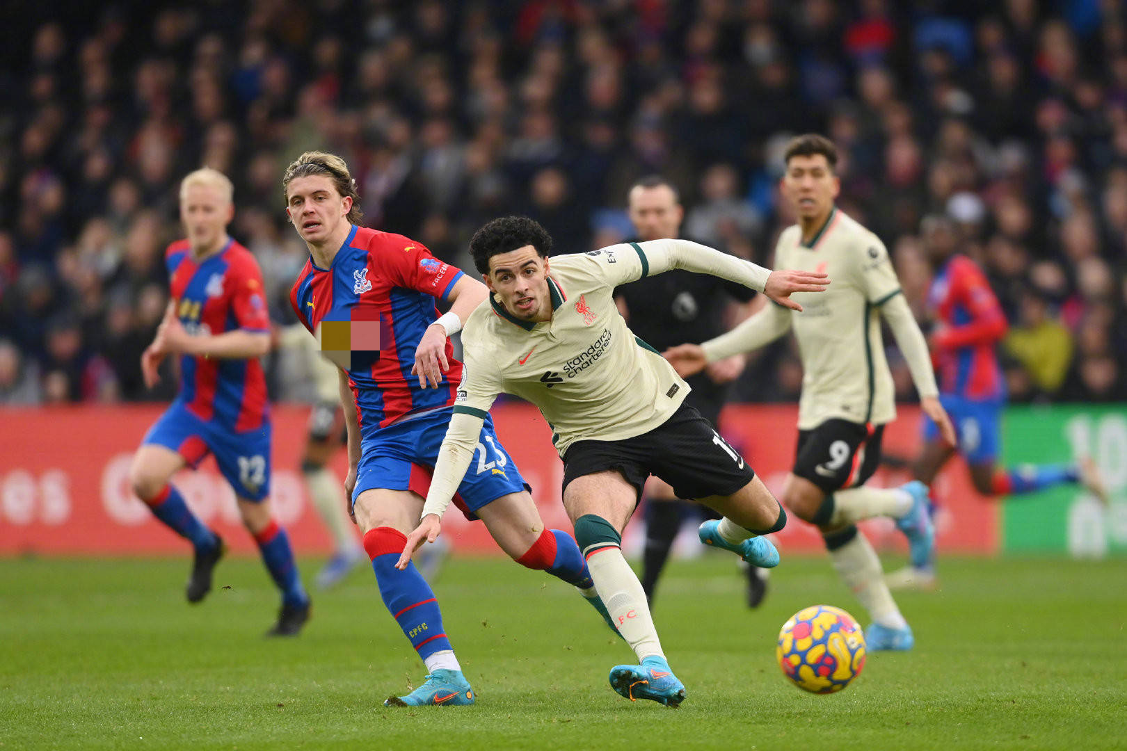 还需具备出 还需具备出